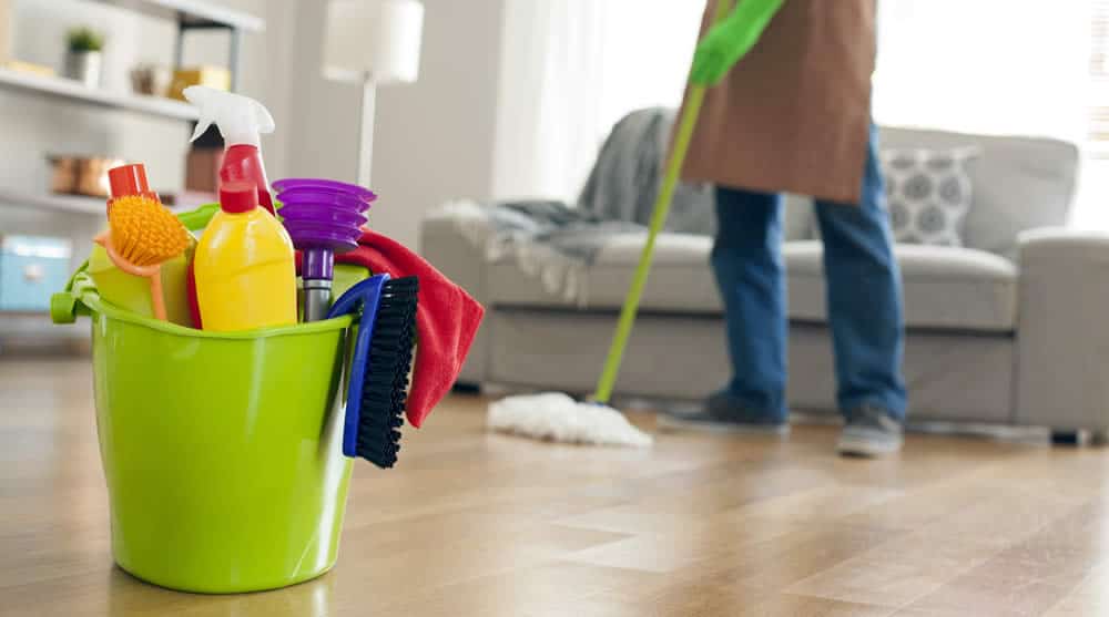 Sofa Cleaning Maid Services in Arlington