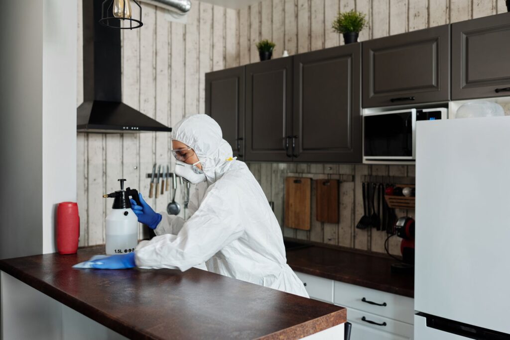 Coronavirus Disinfection Guide: Are You Doing it Right?