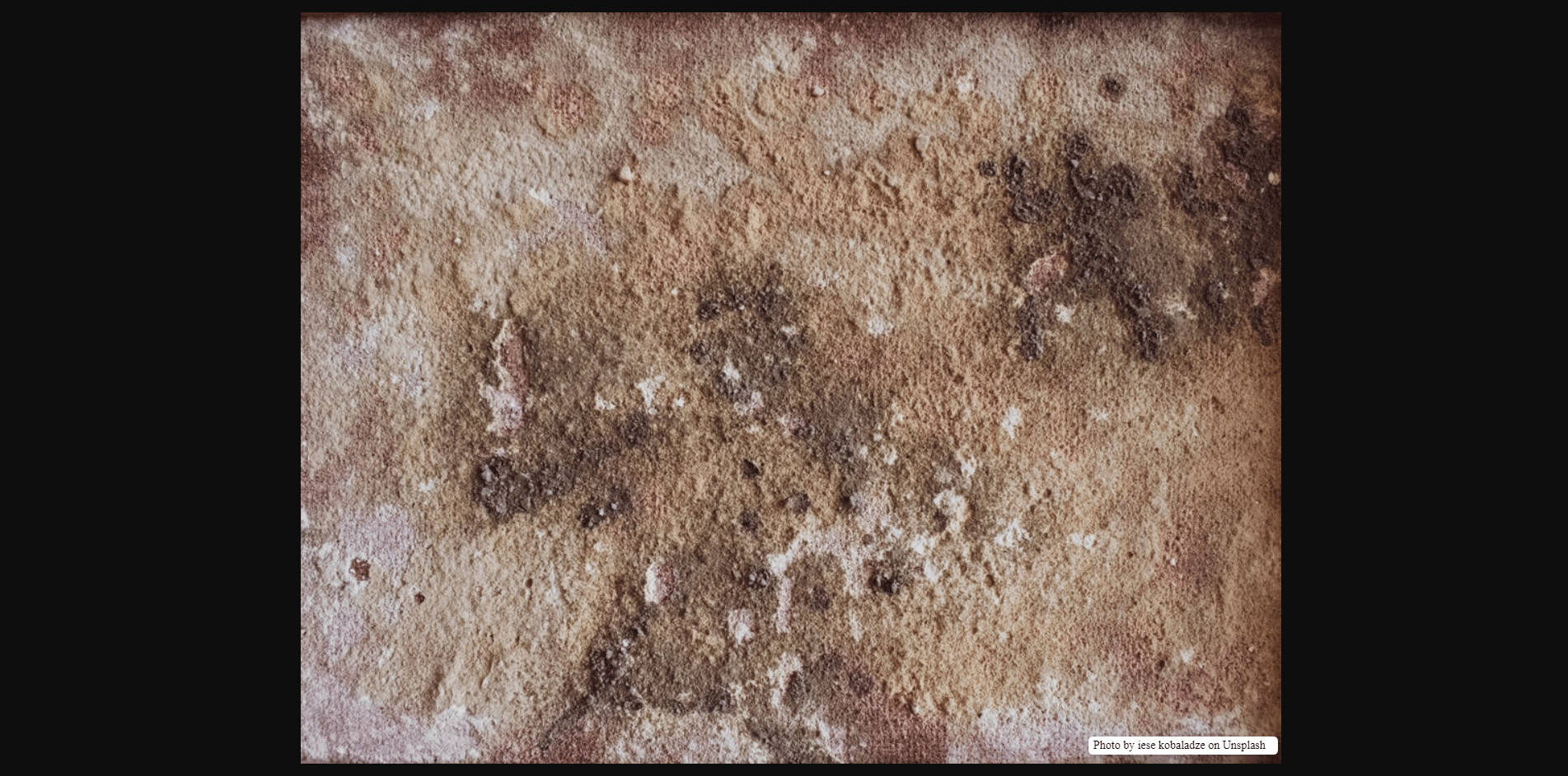 How to Clean Mold in Your Home (and do it Effectively)