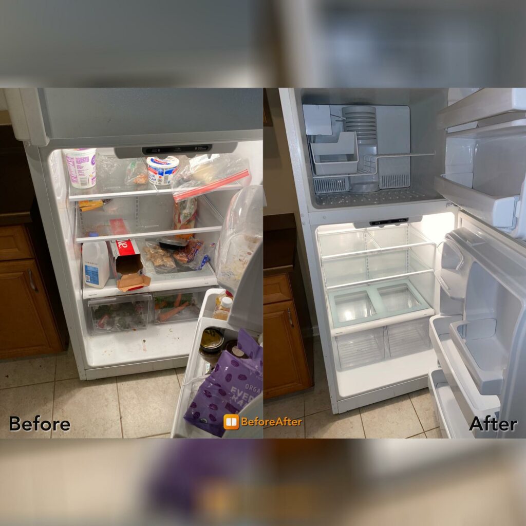 fridge cleaning before after