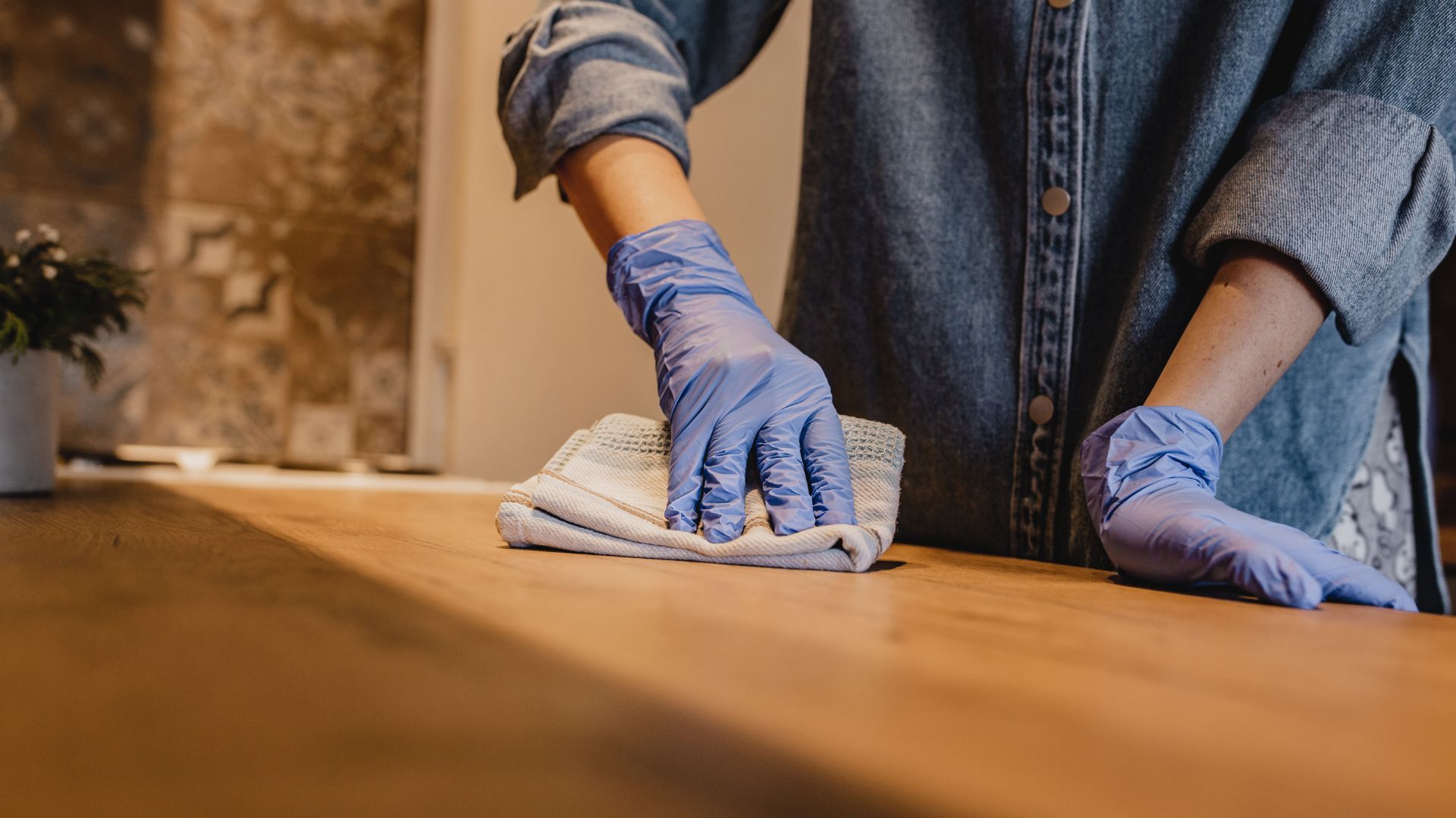 Maid wiping countertop