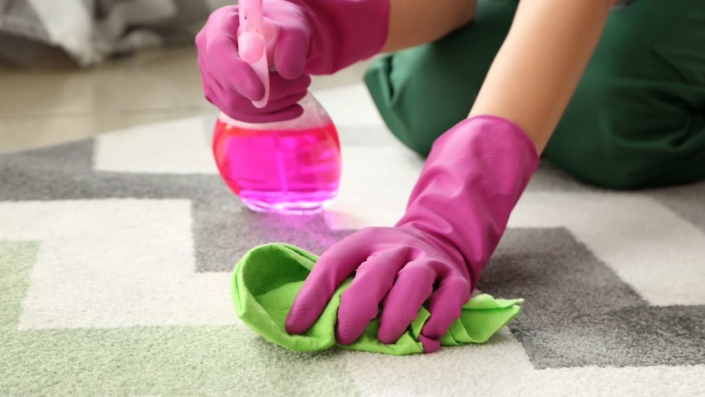 Top Carpet Cleaning Tips and Tricks In Vienna VA
