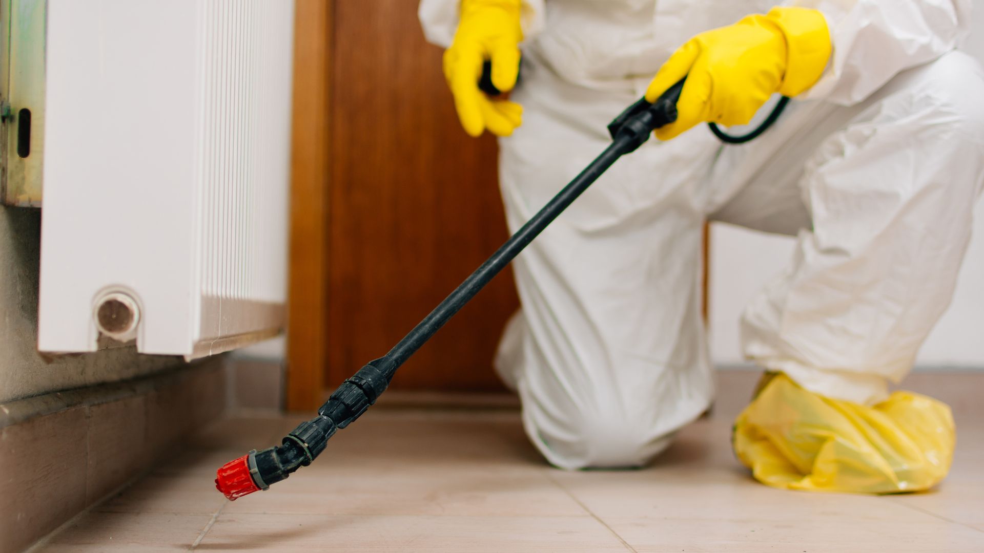 Disinfecting floor