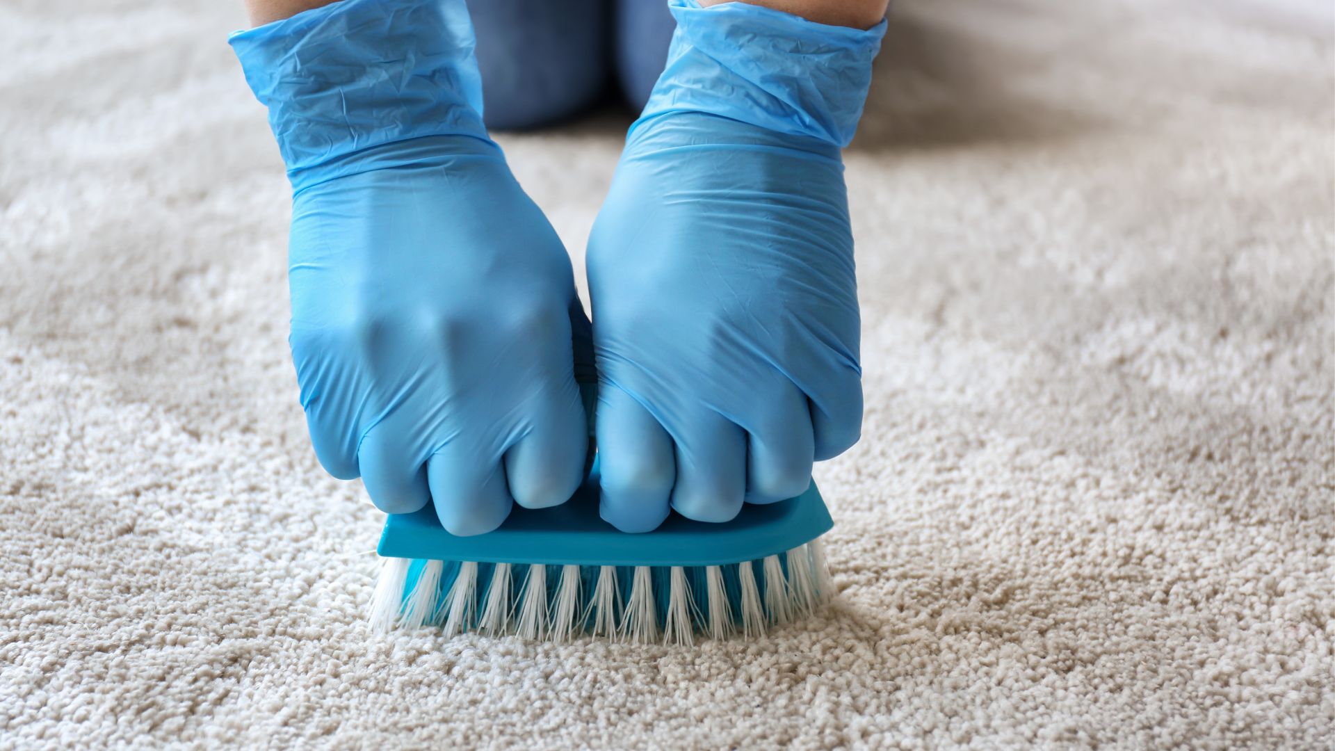 Brushing a carpet
