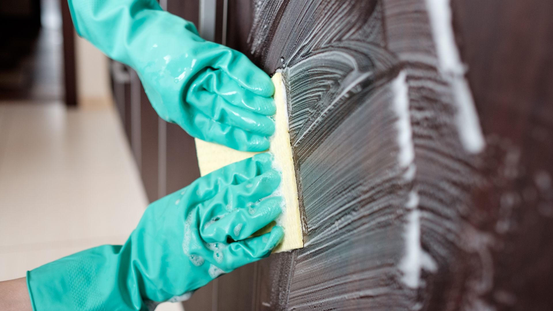 Cleaner cleaning sofa