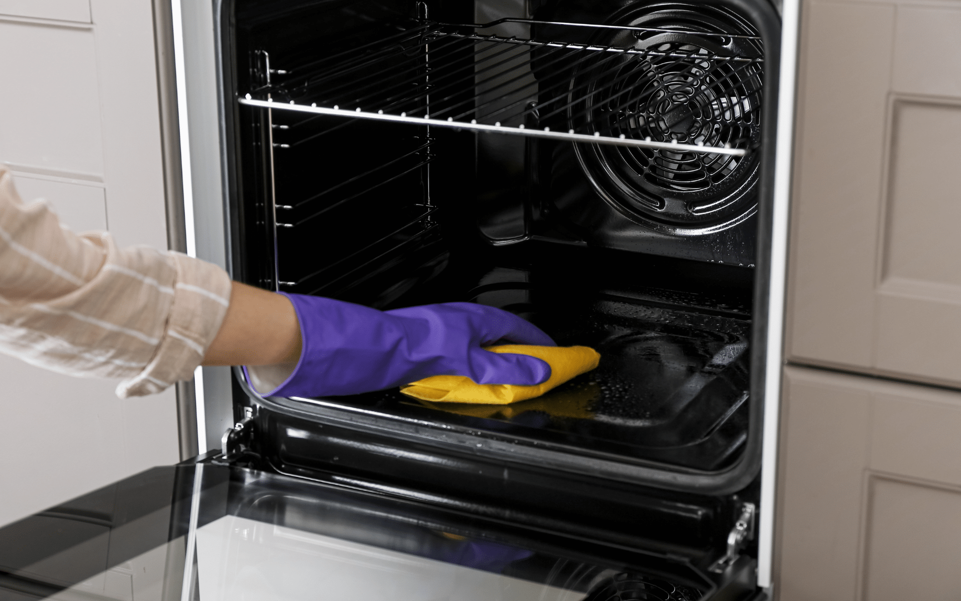 Oven stove cleaning