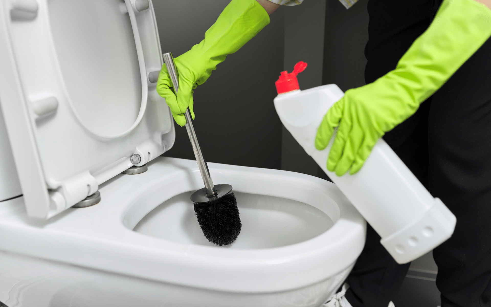 Maid cleaning toilet
