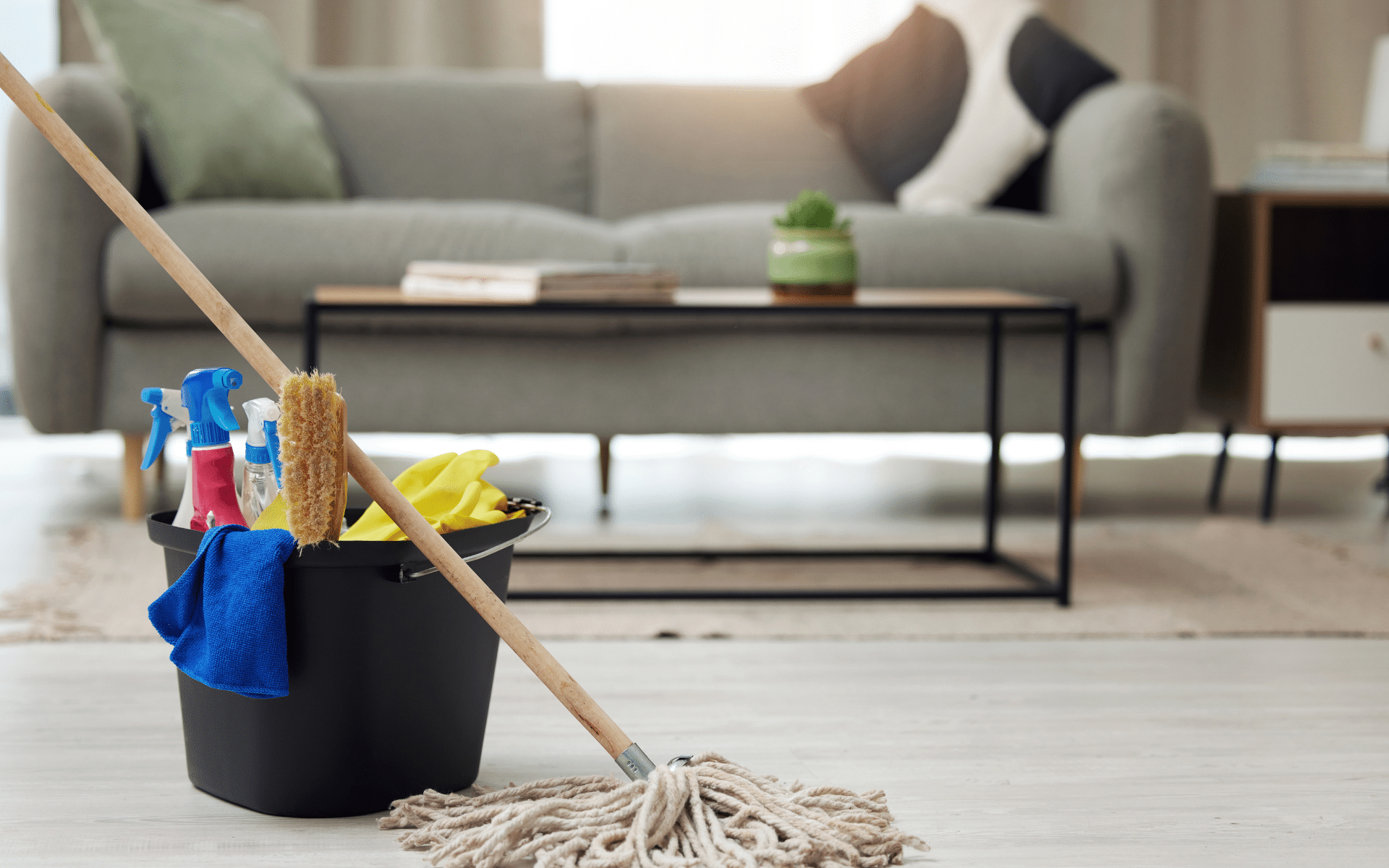 living room with cleaning supplies