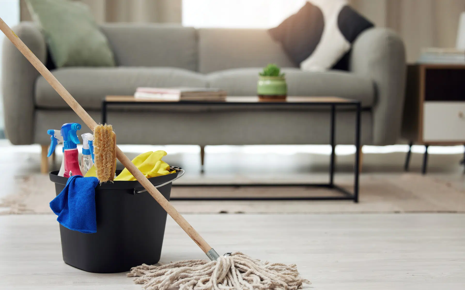 living room with cleaning supplies